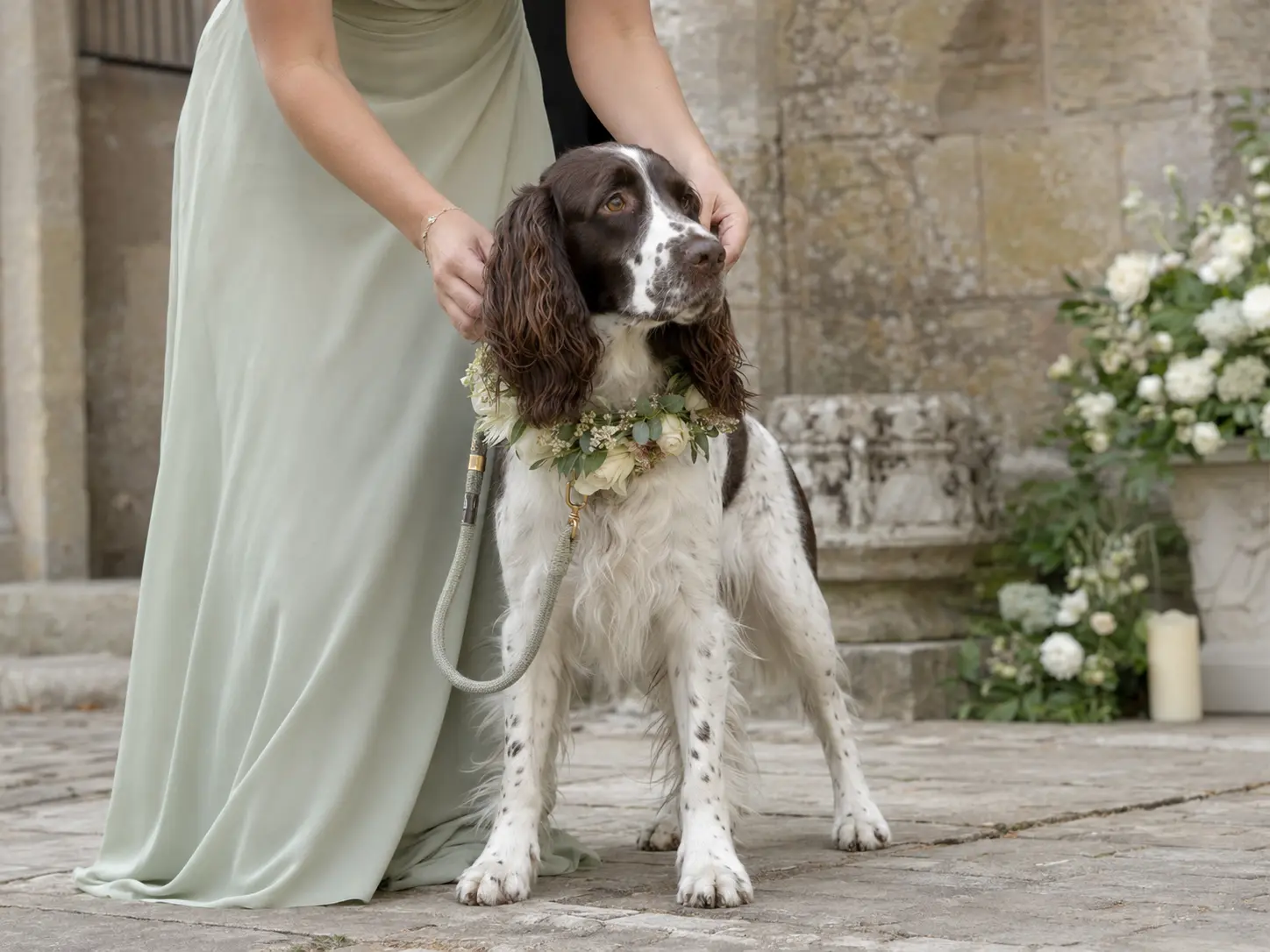 A beautifully groomed dog being calmly accompanied at an English country wedding